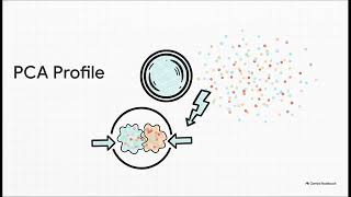 Dimensionality Reduction Explained: t-SNE and PCA (Full Breakdown) explained in 10 minutes