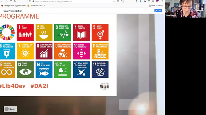 Libraries as partners in international development...