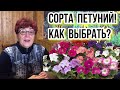 Много сортов петуний! Как выбрать? Обзор