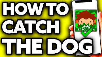 How To Catch The Dog in Sneaky Sasquatch (Very EASY!)