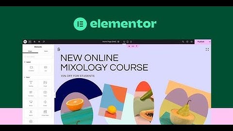 How to Update Elementor & Elementor Pro Plugin in WordPress (Automatic + Manual Update)