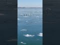Come with us aboard a Chesapeake icebreaker ⛴️ #icebreaker #winter