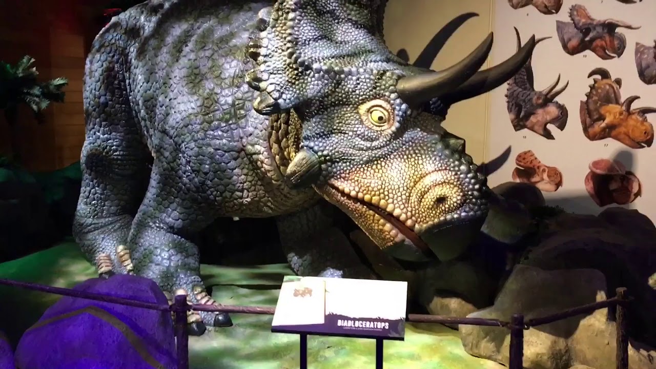 Dinosaurs Predators vs Prey preopening YouTube