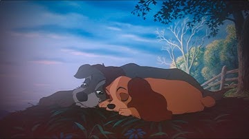 Lady & Tramp || Smile || Animash