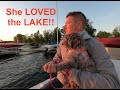 Our Mini Goldendoodle&#39;s First Trip to the LAKE!!