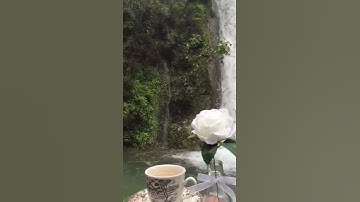 تلاوة خاشعة لسورة الشرح