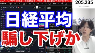 7/27【日経平均騙し下げか⁉】関税交渉合意不透明で日本株荒れるか。自動車株急落、半導体株軟調。ドル円147円台。米国株、ナスダック、仮想通貨ビットコイン最高値推移