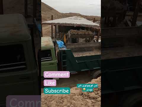      می لدر یا مزه