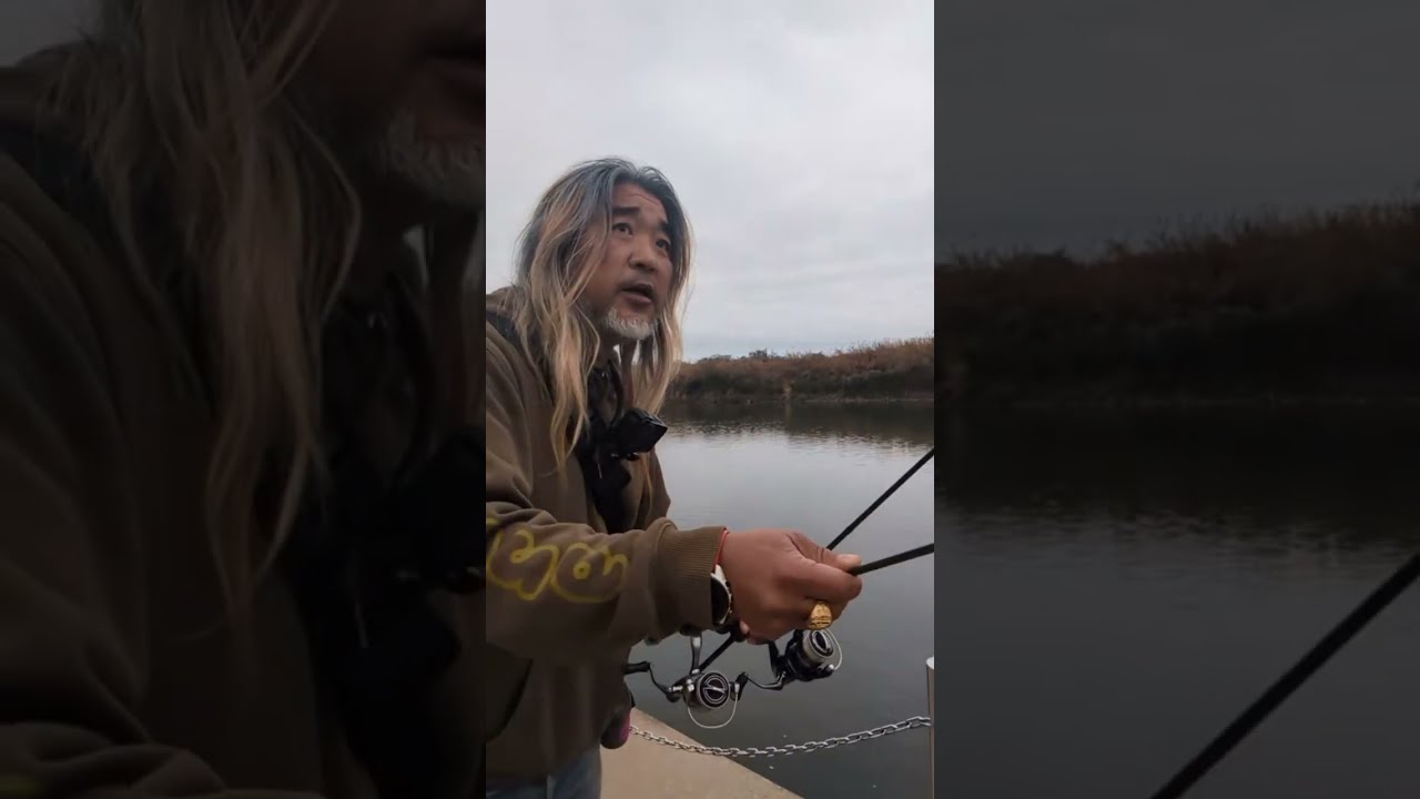 2026.2.26宇治川ブラックバス釣り！momo29釣り倶楽部 がライブ配信中！