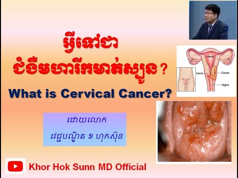អ្វីទៅជាជំងឺមហារីកមាត់ស្បូន? What is Cervical Cancer?l Khor Hok Sunn MD Official