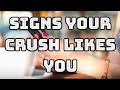 Signs your crush likes youlove relationship love tipspernia quotes