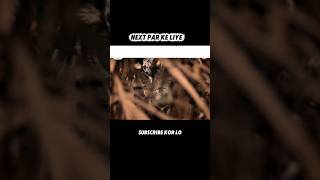 My Fault Movie Explain In Hindi Movie Recap