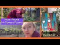 My Tomato Pruning Technique/placement of The Garden Protector/microdwarf hanging baskets June 3 Vlog