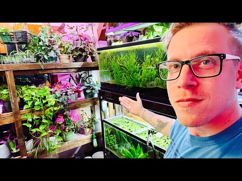 Houseplant TOUR -