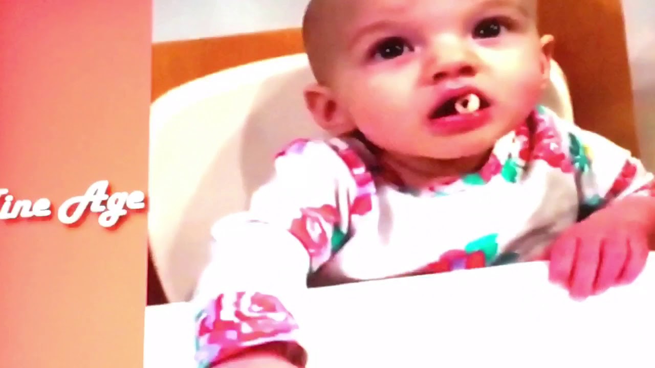 Funny vines 