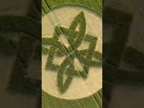First crop circle