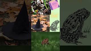 Spooky season tarot reading - pick a halloween archetype edition 3