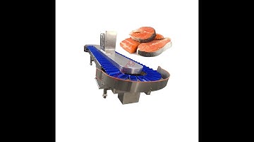 Crab Shrimp Seafood Sorter for Fish Accurate Sorting Automatic Weight Grading Machine