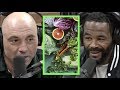 A Mushroom Trip Convinced Rashad Evans to Become Vegan | Joe Rogan