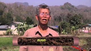 รายการ คนไทยหัวใจเกษตร วันที่ 23 มีนาคม 2559 B3