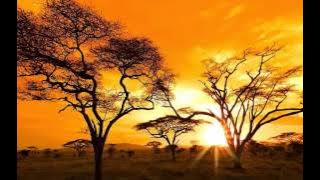 Lesa Uwamweo
