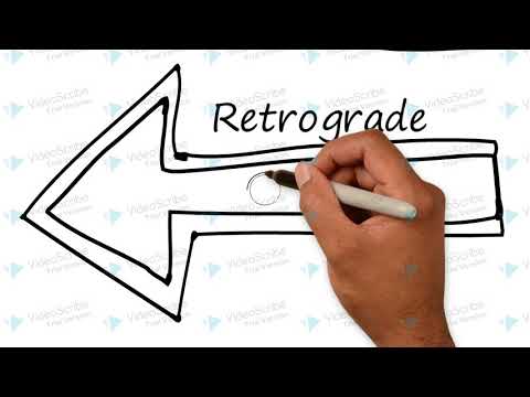 Video: Unterschied Zwischen Anterogradem Und Retrogradem Transport