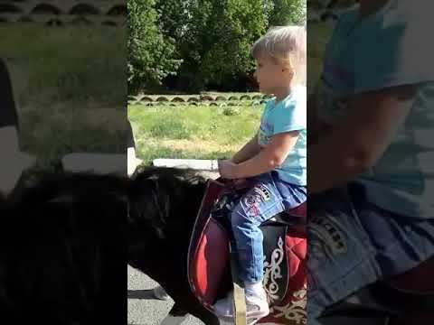 В машине наездница