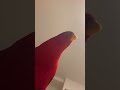 Kawaiiyo🍅Bye bye