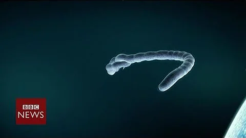 Ebola virus: What is it? We explain in 60 seconds - BBC News