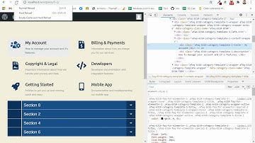 How to add Custom CSS |  Accordion FAQ with Category