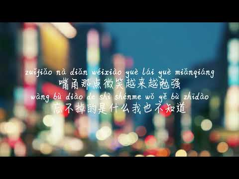 老街 李荣浩 LAO JIE LI RONG HAO TIKTOK 抖音 틱톡 병음가사 拼音歌词 Pinyin Lyrics 광고 없음 No AD 无广告