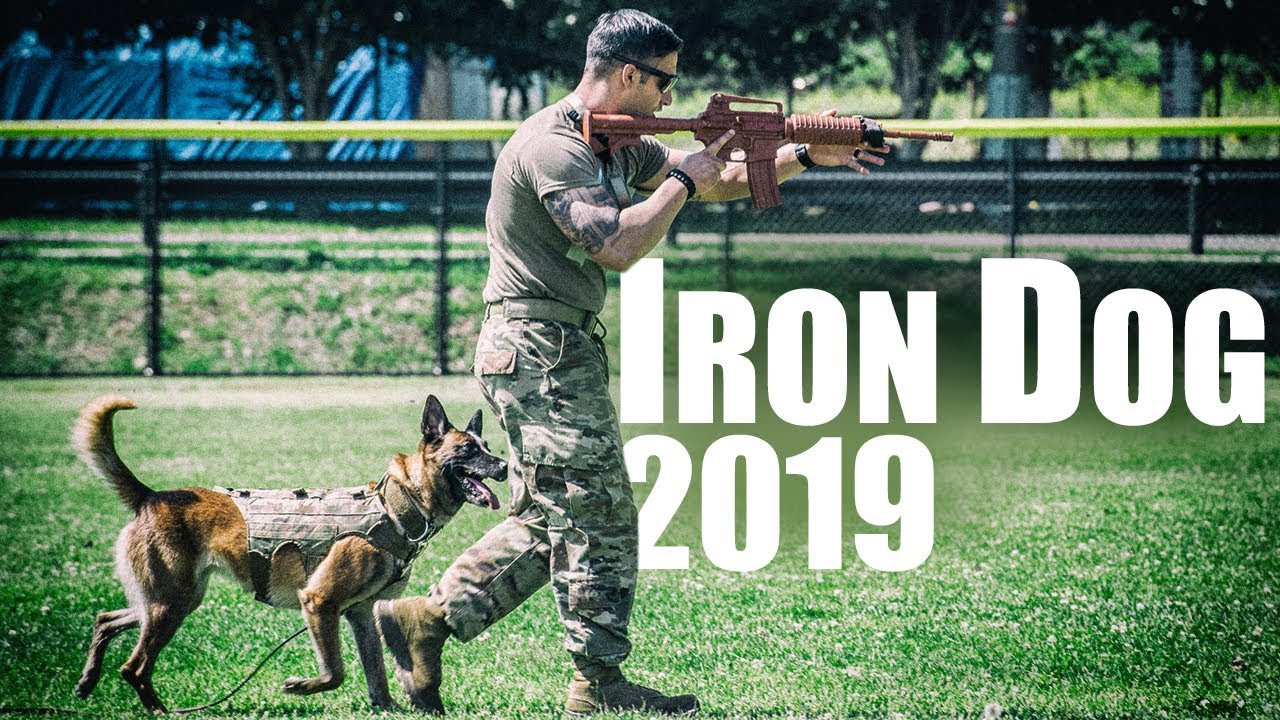 Iron Dog competition 2019 YouTube