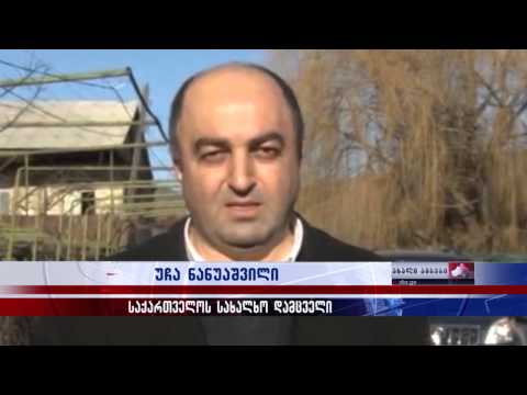 ვითარება ზარდიაანთკარში და სახალხო დამცველის ანგარიში 21.01.2015