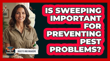 Is Sweeping Important For Preventing Pest Problems?