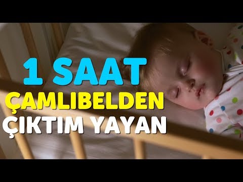 Çamlıbel'den Çıktım Yayan | 1 Saat Kesintisiz ve Reklamsız Bebeğimin Ninnileri | Akıllı Bıdık