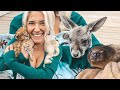 Holding baby African Servals, Joeys, and sloths