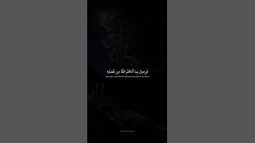فَرِحينَ بِما آتاهُمُ اللَّهُ مِن فَضلِهِ  محمد صديق المنشاوي  سورة آل عمران