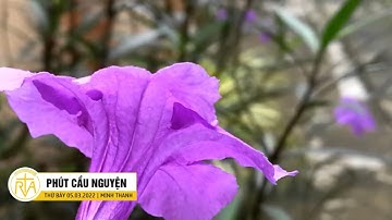 Phút Cầu Nguyện, Thứ Bảy 05/03/2022: Thánh Giuse Gia Trưởng Gương Mẫu