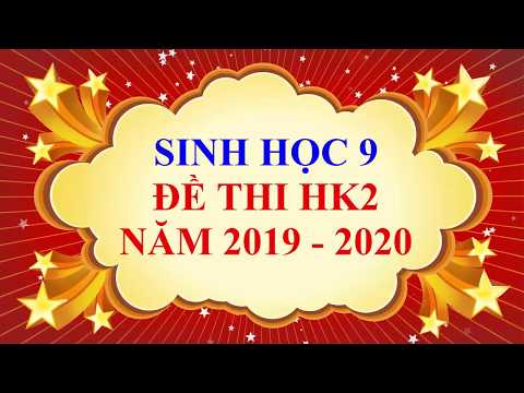 Sinh học lớp 9 - Đề thi HK2 năm học 2019 - 2020