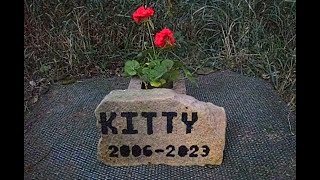 A Short Tribute for an Epic Farm Cat.