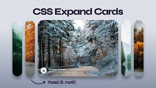 This Shouldnt Be Possible In Css Expandable Cards Animation