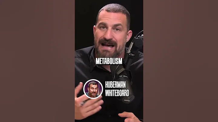 Neuroscientist: Cold Exposure Benefits | Andrew Huberman