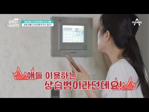 실제 상황 금쪽이가 해킹을 했다 게임 계정 사건에 휘말린 금쪽이 요즘 육아 금쪽같은 내새끼 58 회 