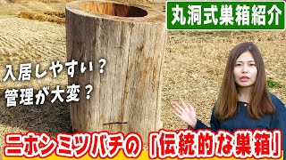 ニホンミツバチの伝統的な巣箱！丸洞式巣箱紹介