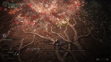 Me and Malenia have insane plot Armor