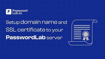 Setup domain name and SSL certificate to your PasswordLab server