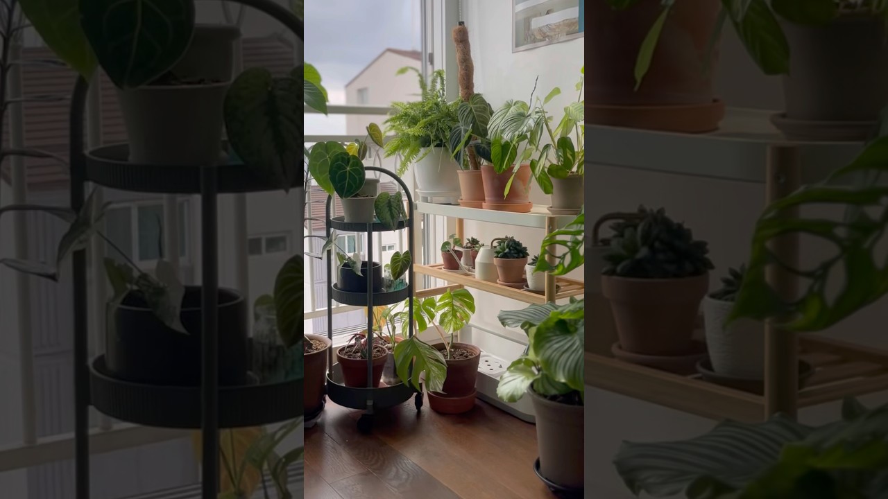 IKEA Gardening hack 이케아 가드닝 꿀템