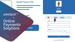 Pesapal Online Payment Solutions screenshot 3