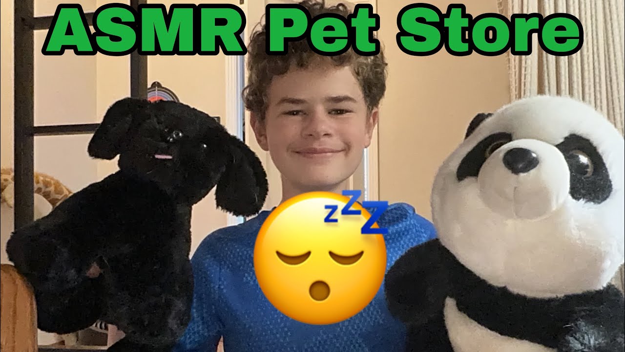 ASMR Pet Store 🐶🐱😴| Gus-ASMR