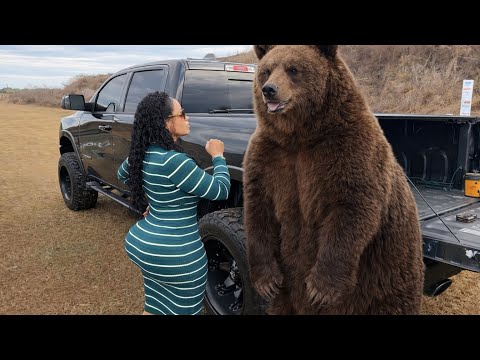 Top 2 Glocks for Hiking Protection